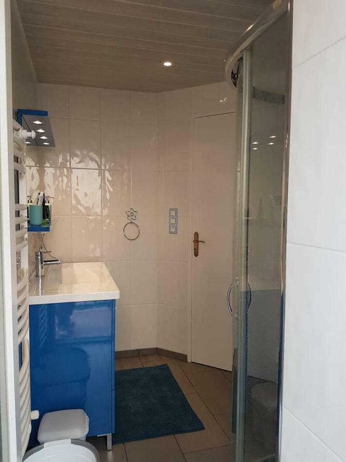 23 Rue Jean Amade Apartment เซเรต์ ภายนอก รูปภาพ